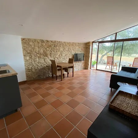Apartamento Massanet *